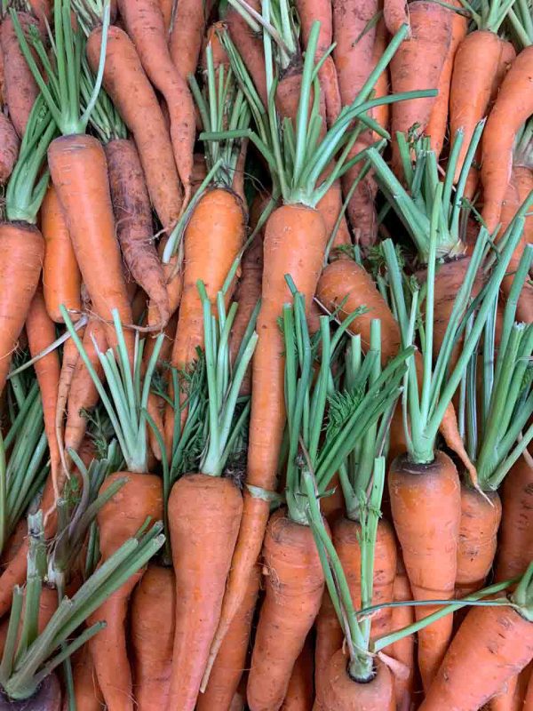 Carottes